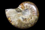 Lot: kg Iridescent, Red Flash Ammonites (-) - Pieces #82475-3